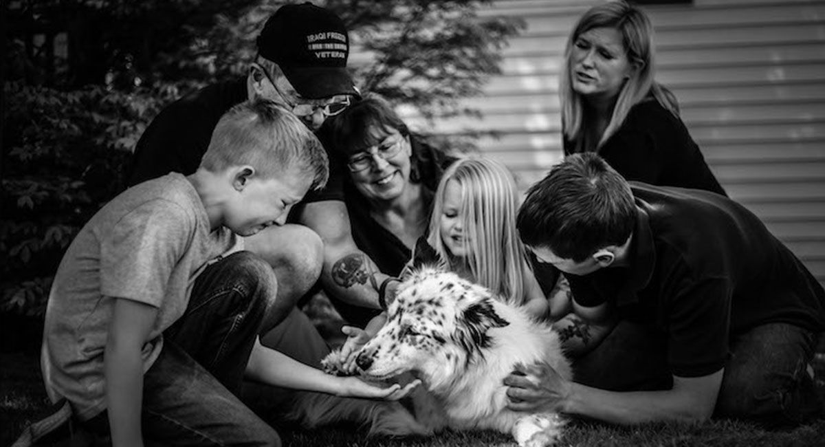 Estas fotografías retratan los últimos momentos de las mascotas con sus humanos