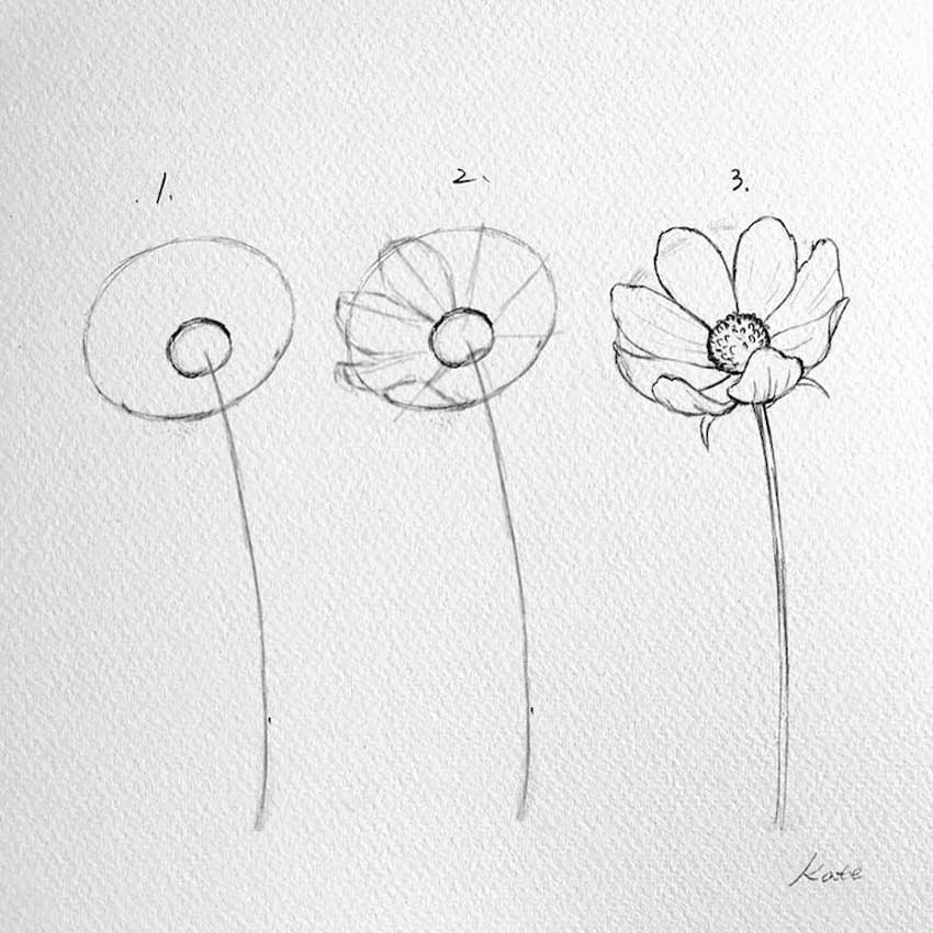 Imagen con la descripción de tres pasos para aprender a dibujar flores.