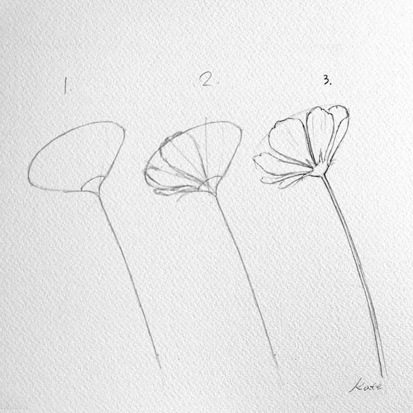Imagen con la descripción de tres pasos para aprender a dibujar flores.