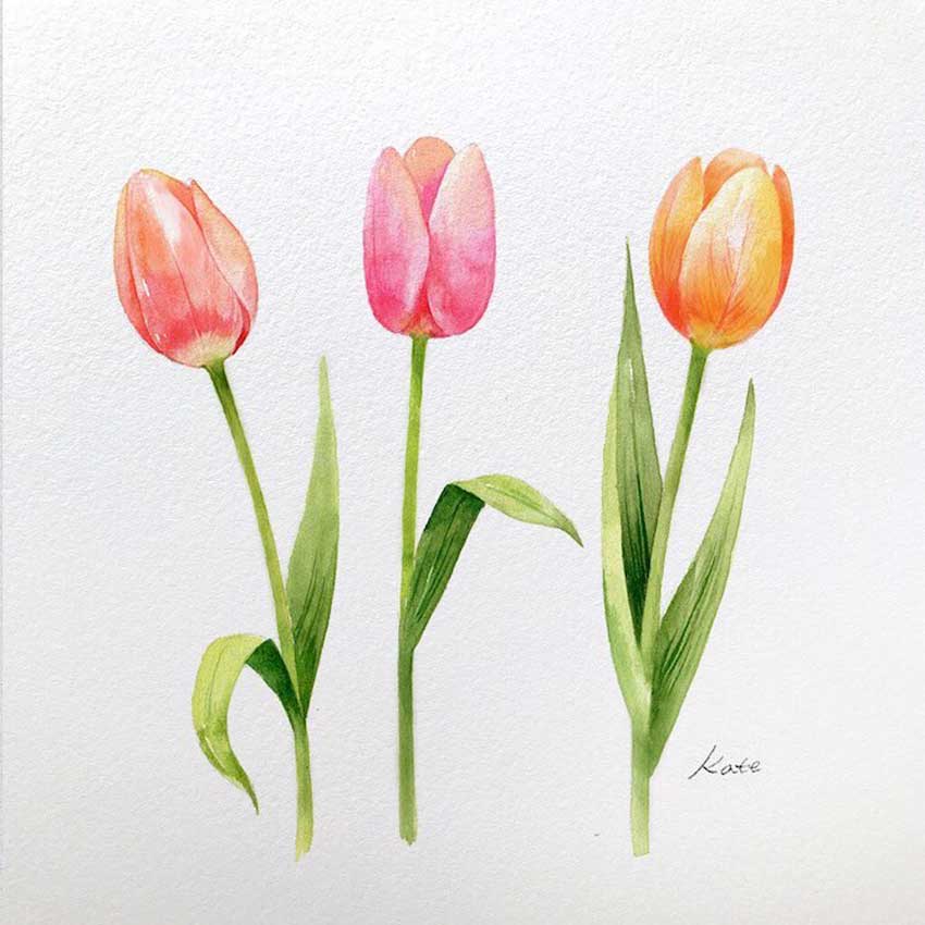 Resultado de aprender a dibujar tulipanes en tres sencillos pasos.