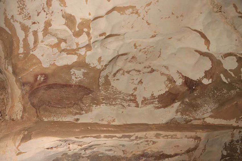 Pintura rupestre de un jabalí de 45,000 años aproximadamente.