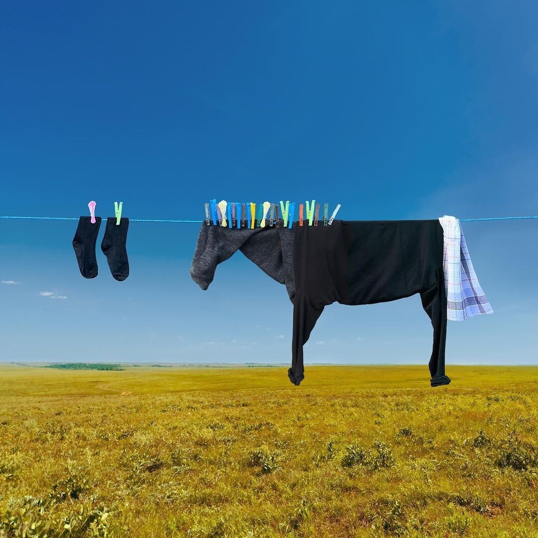 Forma de una vaca hecha con ropa secando al sol. Surrealismo cotidiano por la artista rusa Helga Stentzel