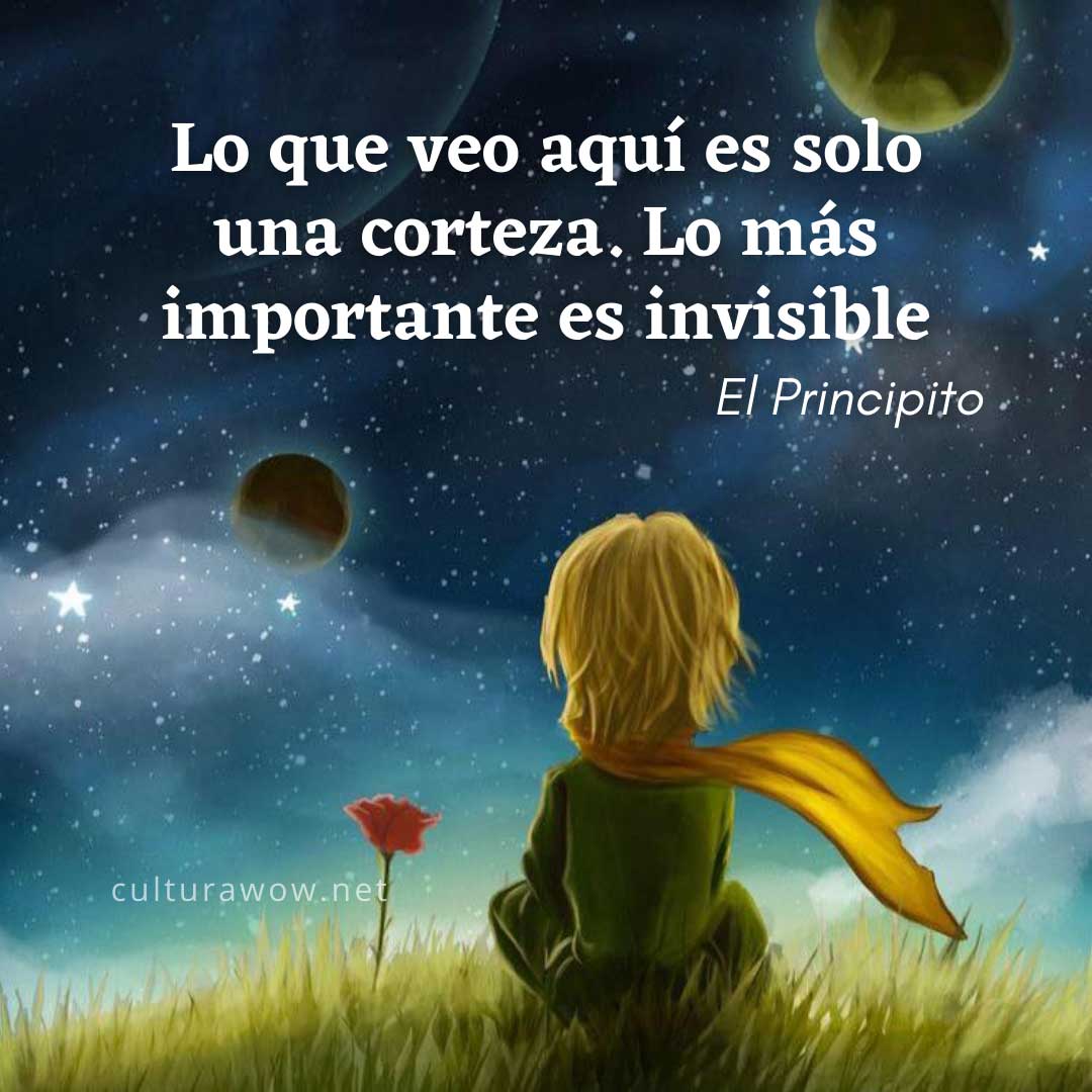 Frases del Principito, en imágenes. Lo que veo aquí es solo una corteza. Lo más importante es invisible.