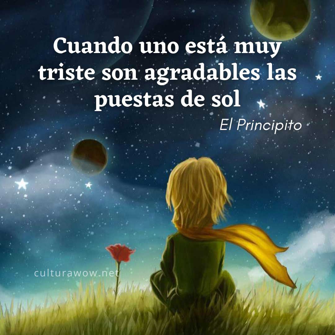 Frases del Principito, en imágenes. Cuando uno está muy triste son agradables las puestas de sol