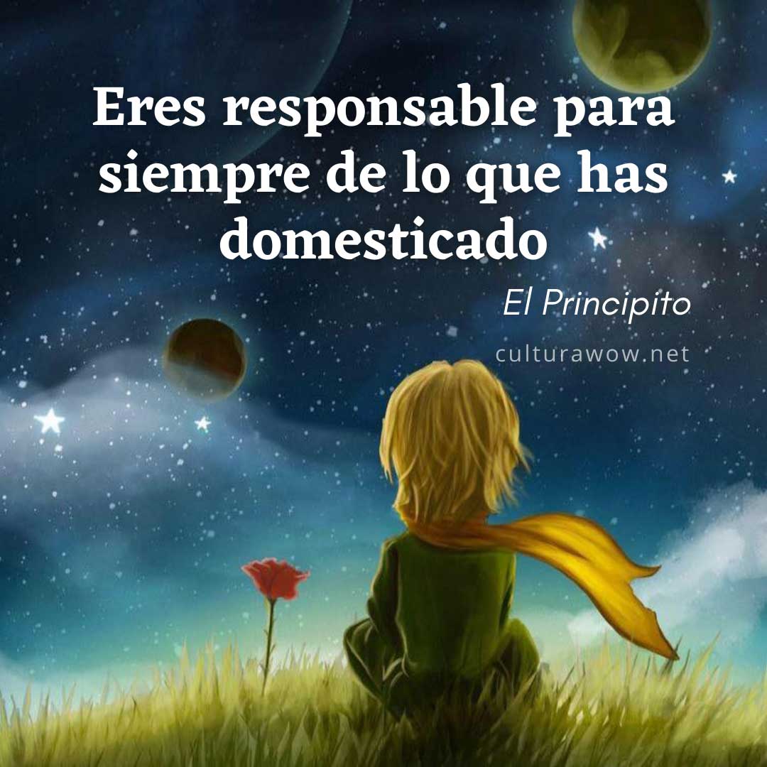 Frases del Principito, en imágenes. Eres responsable para siempre de lo que has domesticado.