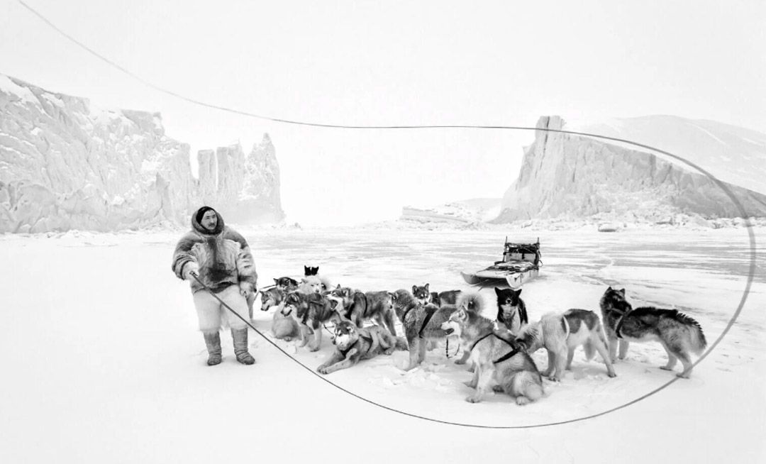 Fotografía: “Frozen Highway” de Paul Nicklen. Foto de hombre en la Antártica amaestrando unos lobos. Foto en Blanco y Negro.