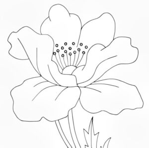 Flor de dibujo para pintar