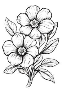 Flor de dibujo para pintar